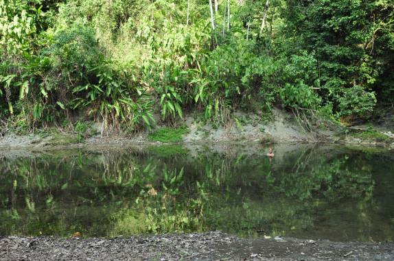 Nadando no belo e seguro rio Claro, no Parque Nacional Corcovado, na Península de Osa, no sul da Costa Rica